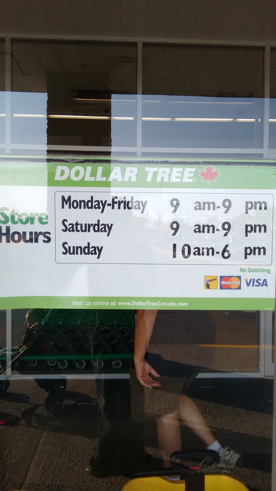 Dollar Tree | 2950 Bank St #2, Gloucester, ON K1T 1N8, Canada | Phone: (613) 523-4644