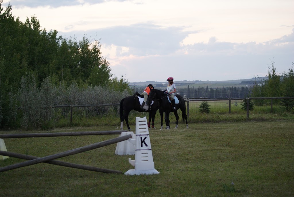 High Country Equestrian Center | 240020 Range Rd 42, Calgary, AB T3Z 2X3, Canada | Phone: (403) 242-9387