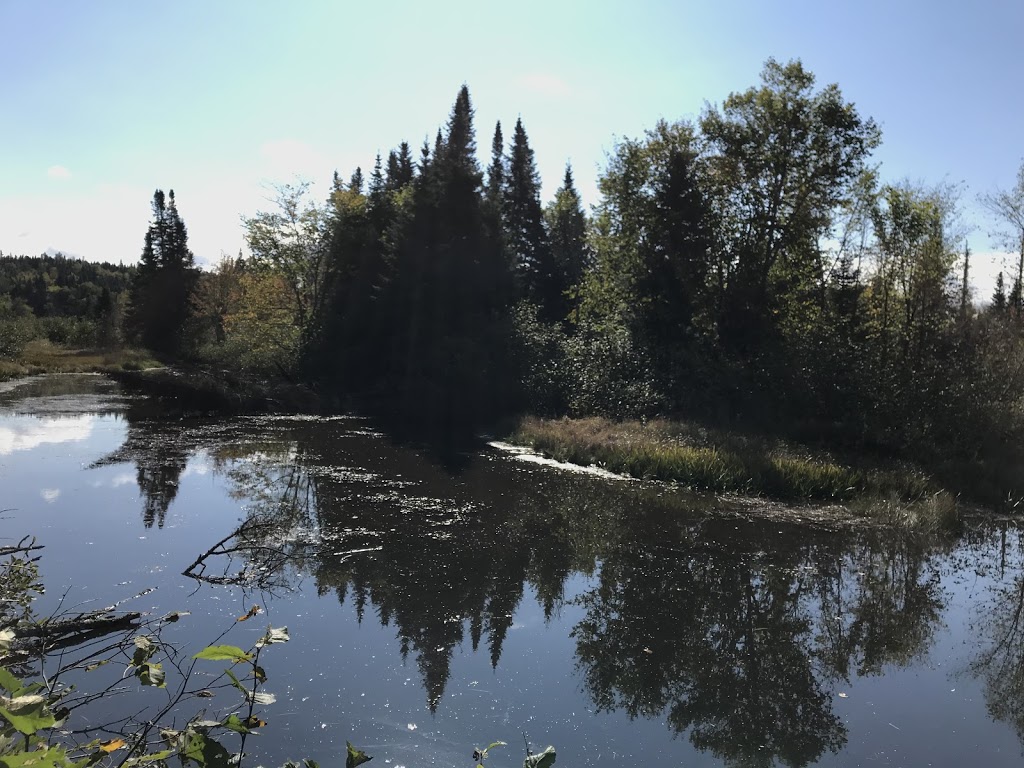 Marais du Nord (Les) | 1100 Chemin de la Grande Ligne, Stoneham-et-Tewkesbury, QC G3C 0Y1, Canada | Phone: (418) 841-4629