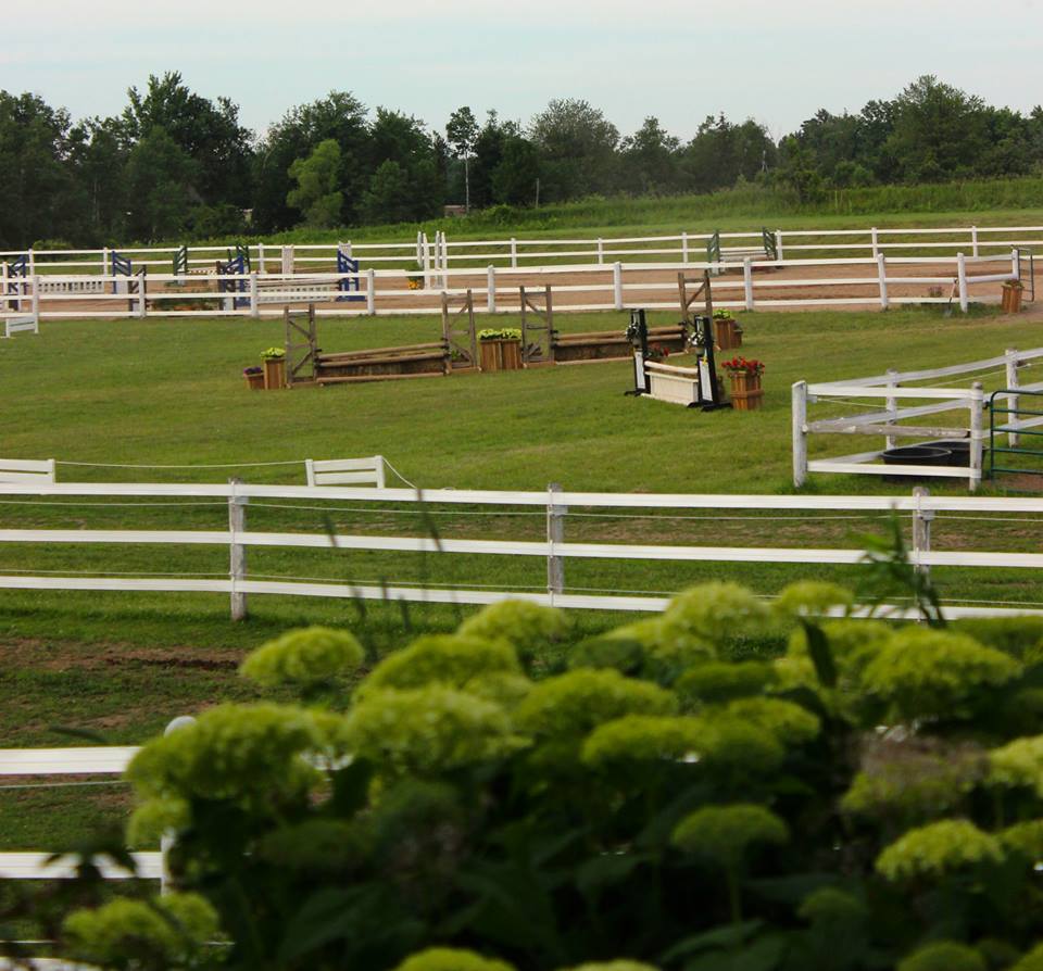 Vector Equestrian | 995 Concession 8 W, Puslinch, ON N0B 2J0, Canada | Phone: (905) 699-0420