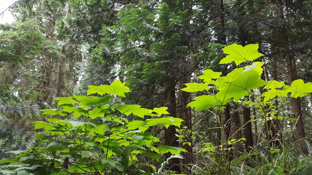 Mouat Park | Rainbow Rd, Salt Spring Island, BC V8K 2V8, Canada