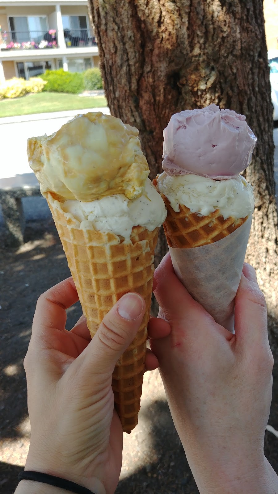 Village Ice Cream | 820 49 Ave SW, Calgary, AB T2S 1G9, Canada | Phone: (403) 457-9808