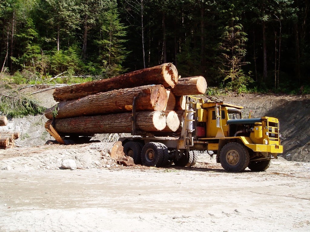 PseudoTsuga Timber | 41160 Rockridge Pl, Squamish, BC V8B 0S4, Canada | Phone: (604) 833-0746