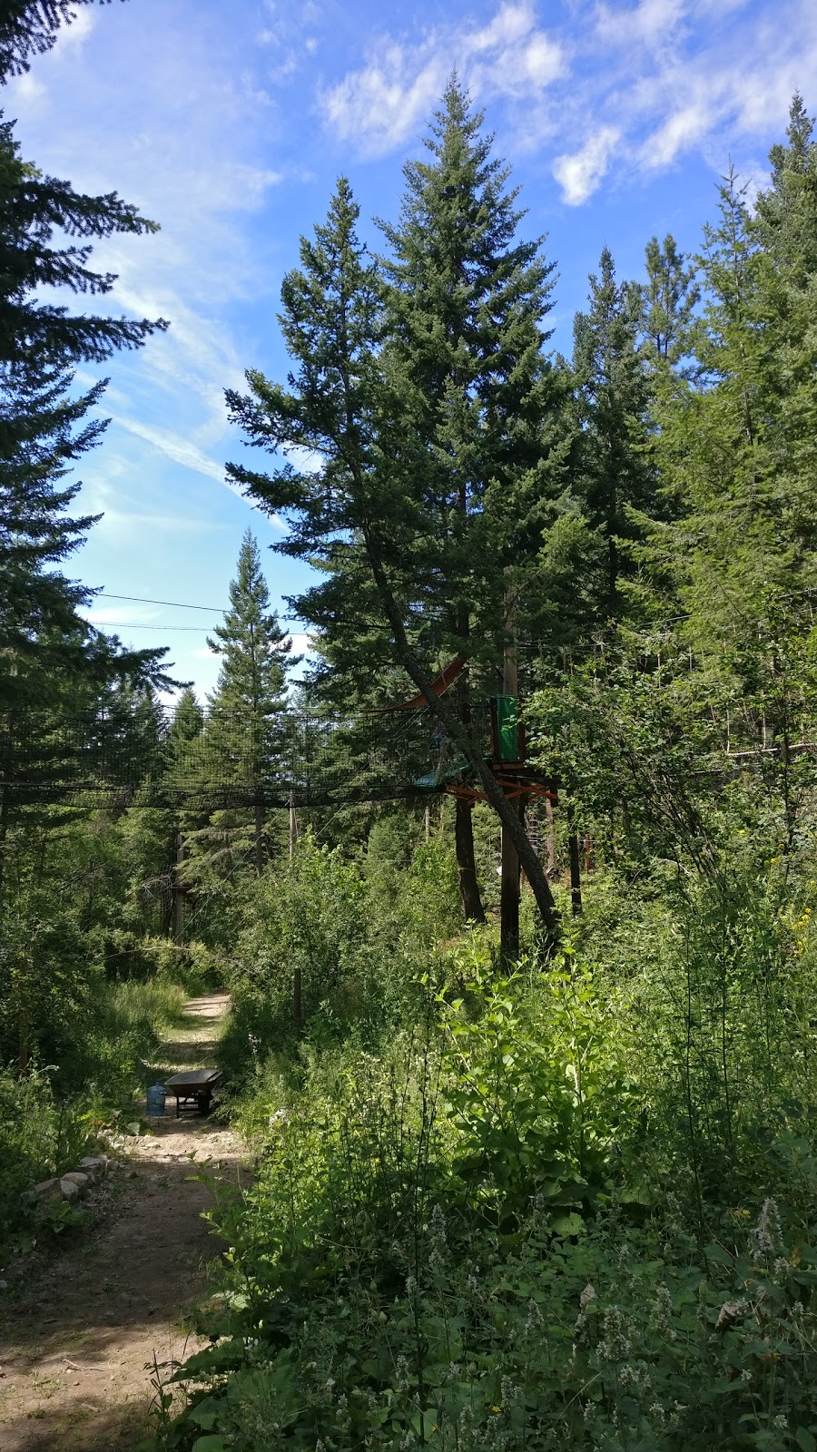 Oyama Zipline Adventure Park | 5617 Oyama Lake Rd, Lake Country, BC V4V 2C9, Canada | Phone: (250) 548-4129