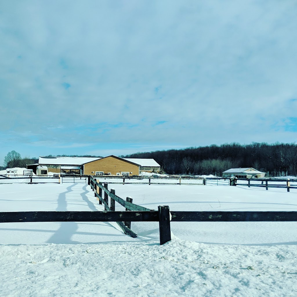 Ferme L. L. Warmblood Farm | 9265 Rue de Belle Rivière, Mirabel, QC J7N 2V9, Canada | Phone: (514) 269-8503