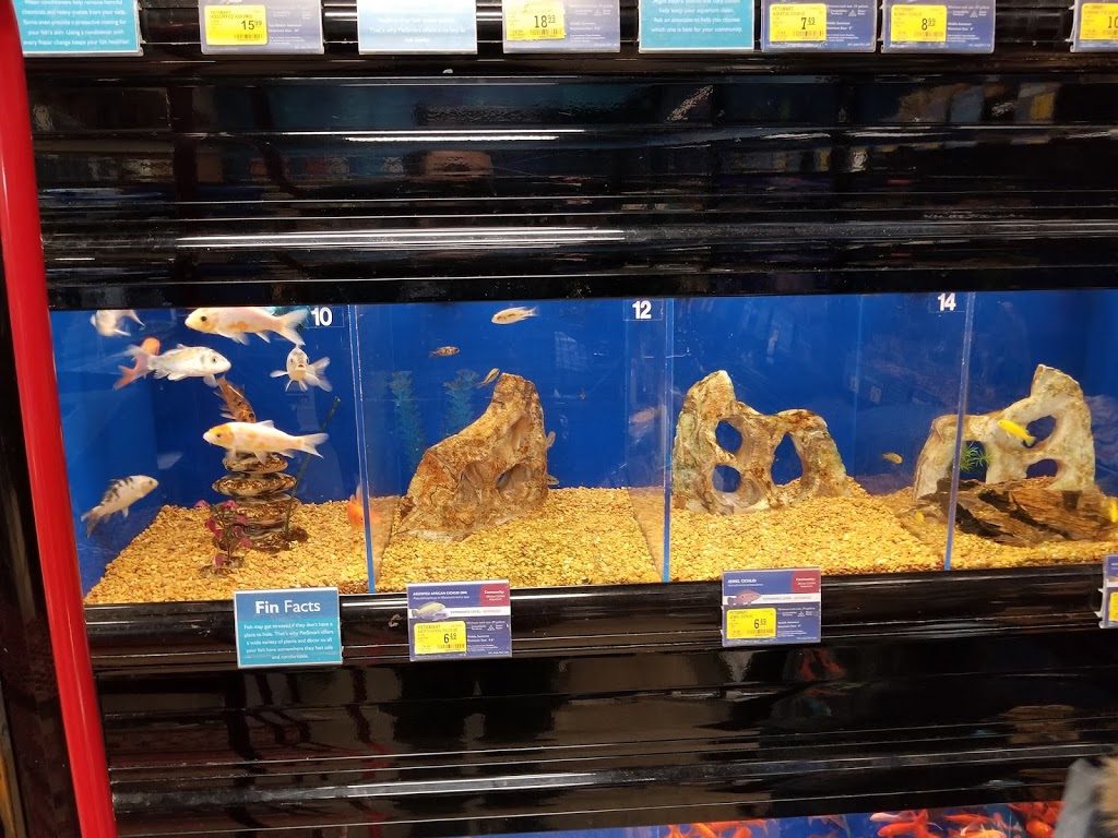 PetSmart | 120-9751 Bridgeport Rd, Richmond, BC V6X 1S3, Canada | Phone: (604) 233-1348