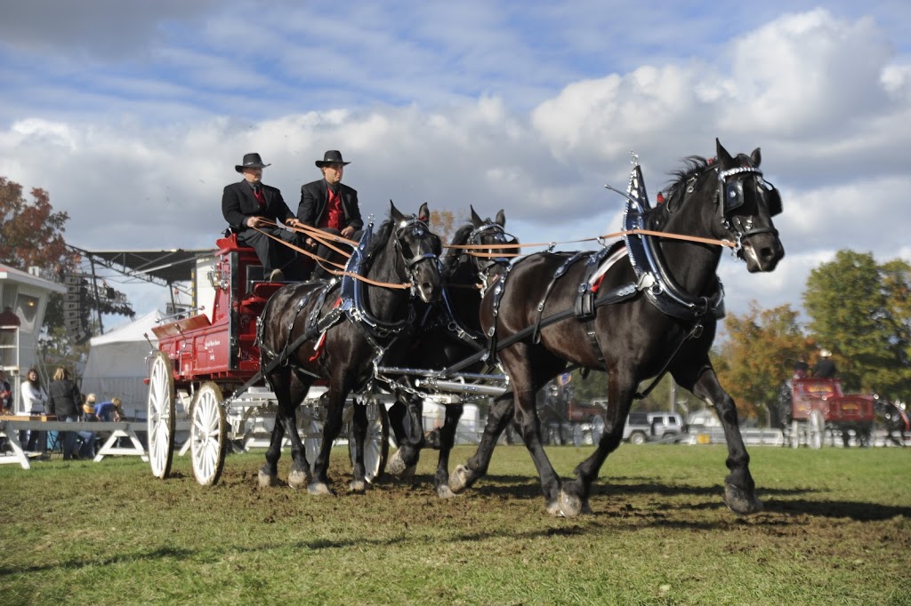 Norfolk County Fairgrounds | 172 South Dr, Simcoe, ON N3Y 1G6, Canada | Phone: (519) 426-7280