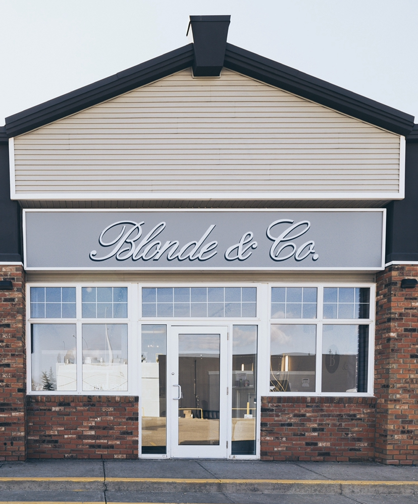 Blonde & Co. Hair Salon | 506A St Albert Trail #206, St. Albert, AB T8N 5Z1, Canada | Phone: (780) 569-3580