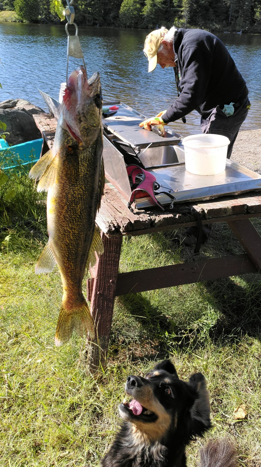 Wilson Lake Cottages | 250 Wilson Lake Rd, Temagami, ON P0H 2H0, Canada | Phone: (705) 569-3710