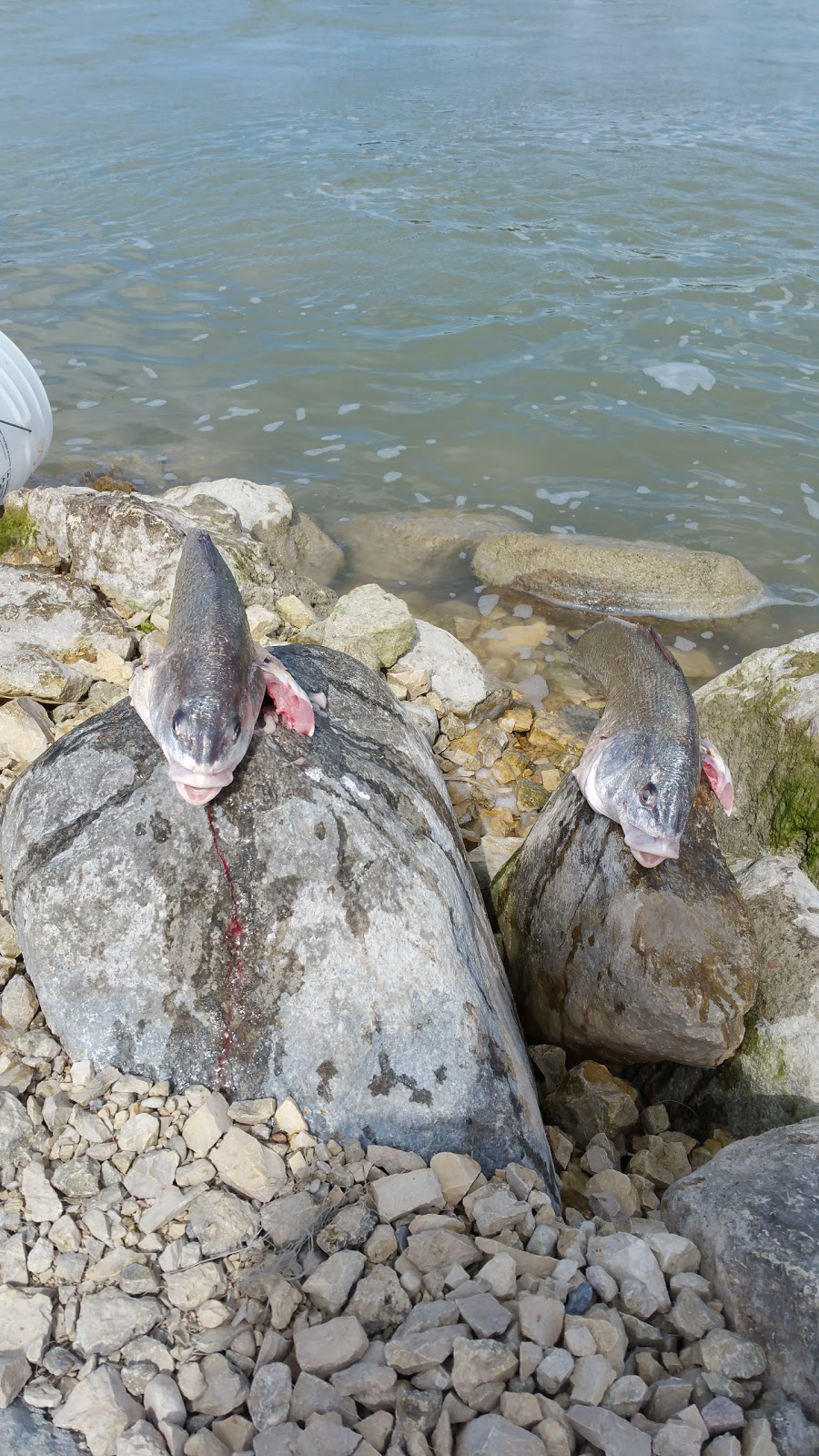 Pinaymootang First Nation | Fairford Dam, Fairford, MB R0C 0X0, Canada | Phone: (204) 659-5705