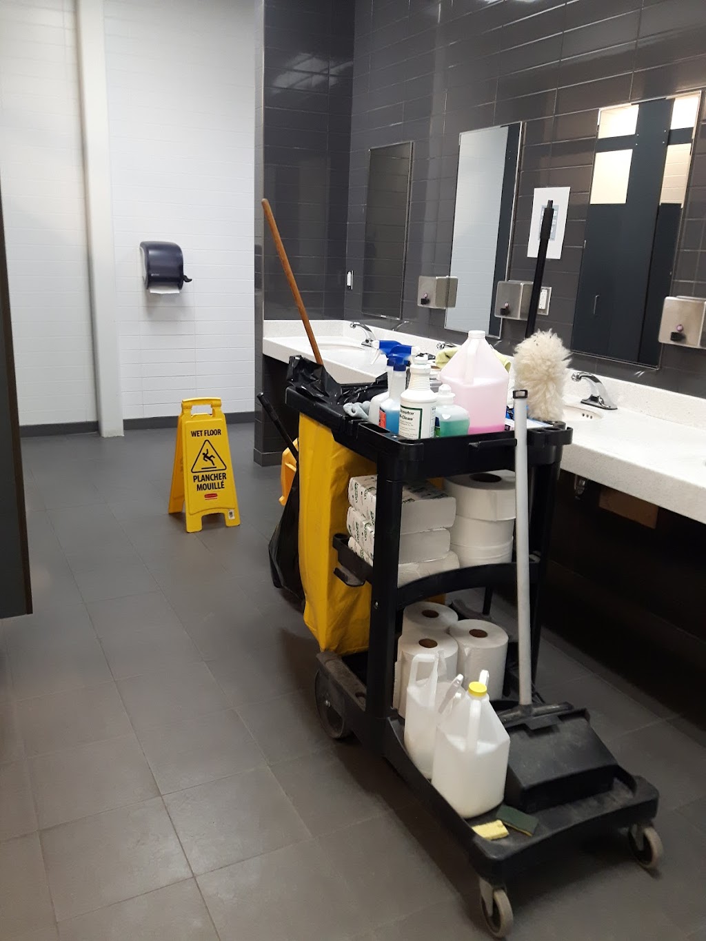 Aine Cleaning Services Limited | 1185 Fennell Ave E #317, Hamilton, ON L8T 1S4, Canada | Phone: (365) 999-2427