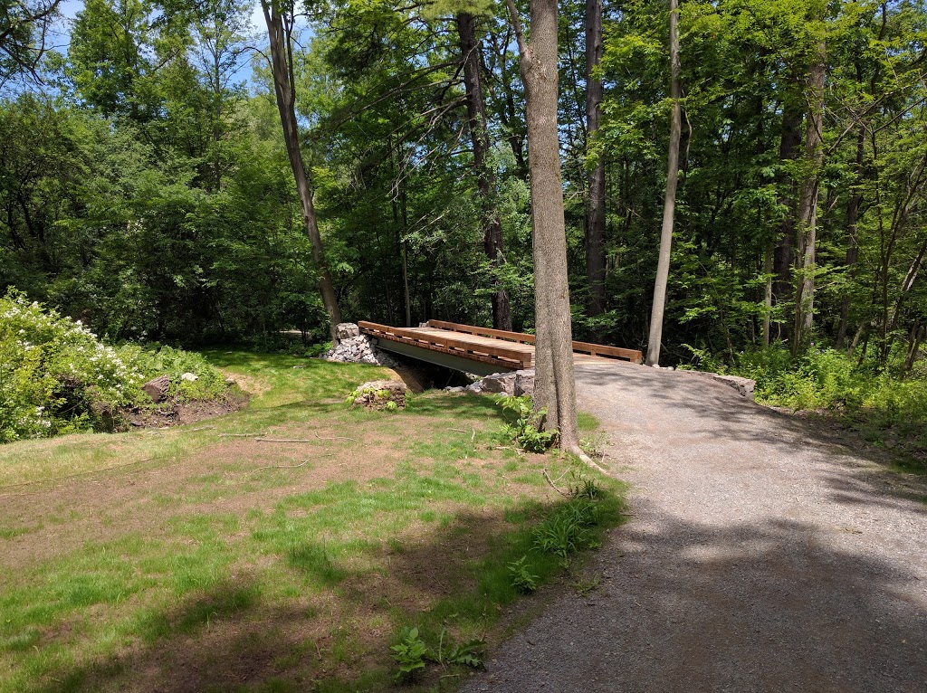 Dundas Main Loop | Bruce Trail, Dundas, ON L9H 5E3, Canada