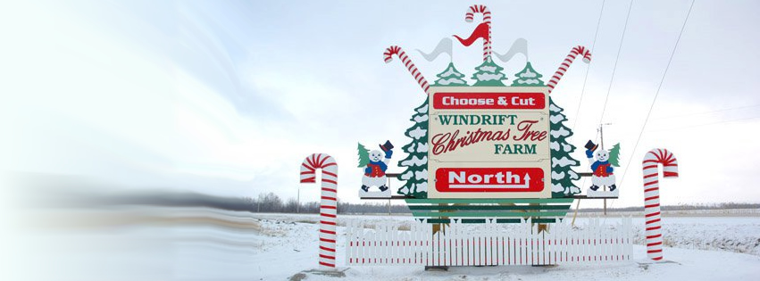 Windrift Christmas Tree Farm | rd 38e between 76 and 77, Tyndall, MB R0E 2B0, Canada | Phone: (204) 791-9421