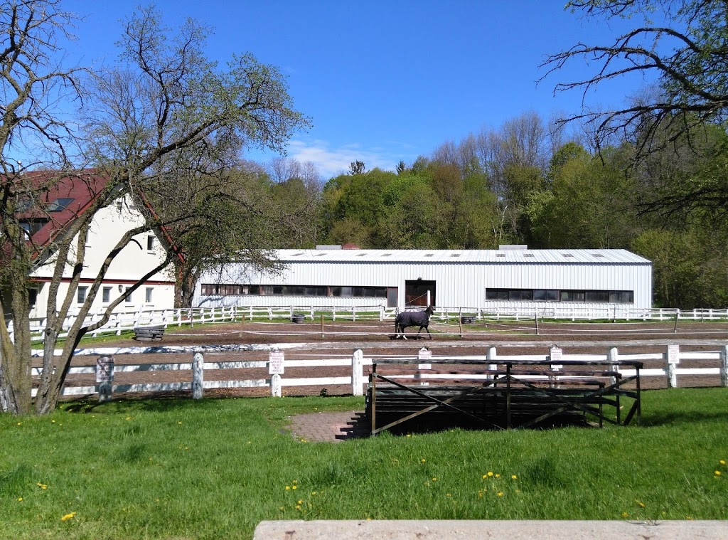 Sunnybrook Stables | 1132 Leslie St, North York, ON M3C 3L7, Canada | Phone: (416) 444-4044