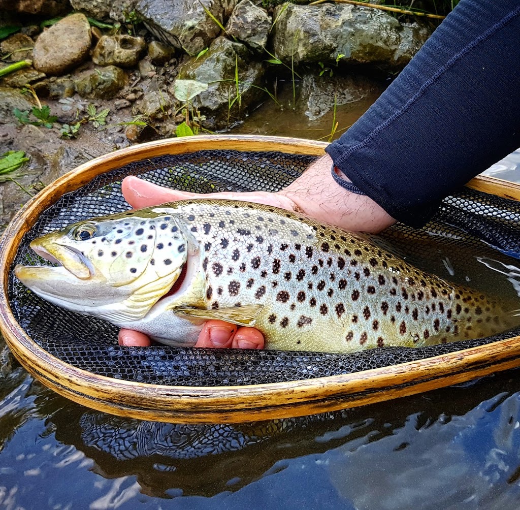 Calmwaters Fly Fishing | Butler Ave, Cambridge, ON N3C 2V4, Canada | Phone: (519) 658-5306