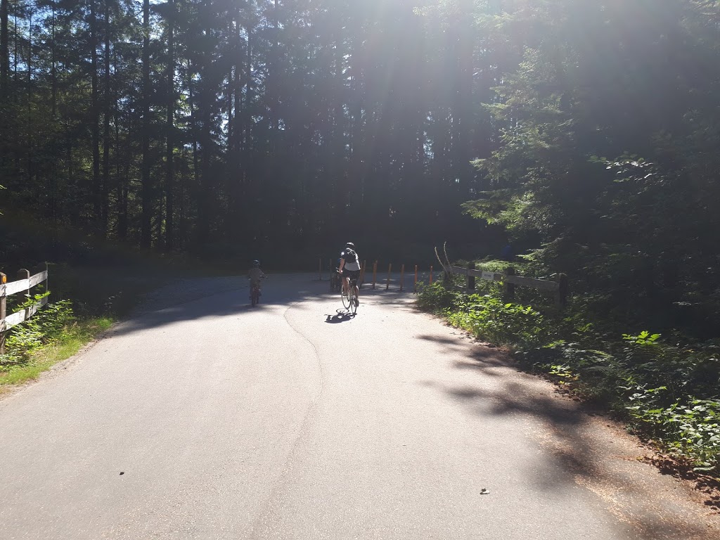 Seymour Valley Trail | Seymour Valley Trailway, North Vancouver, BC V7K 3B2, Canada