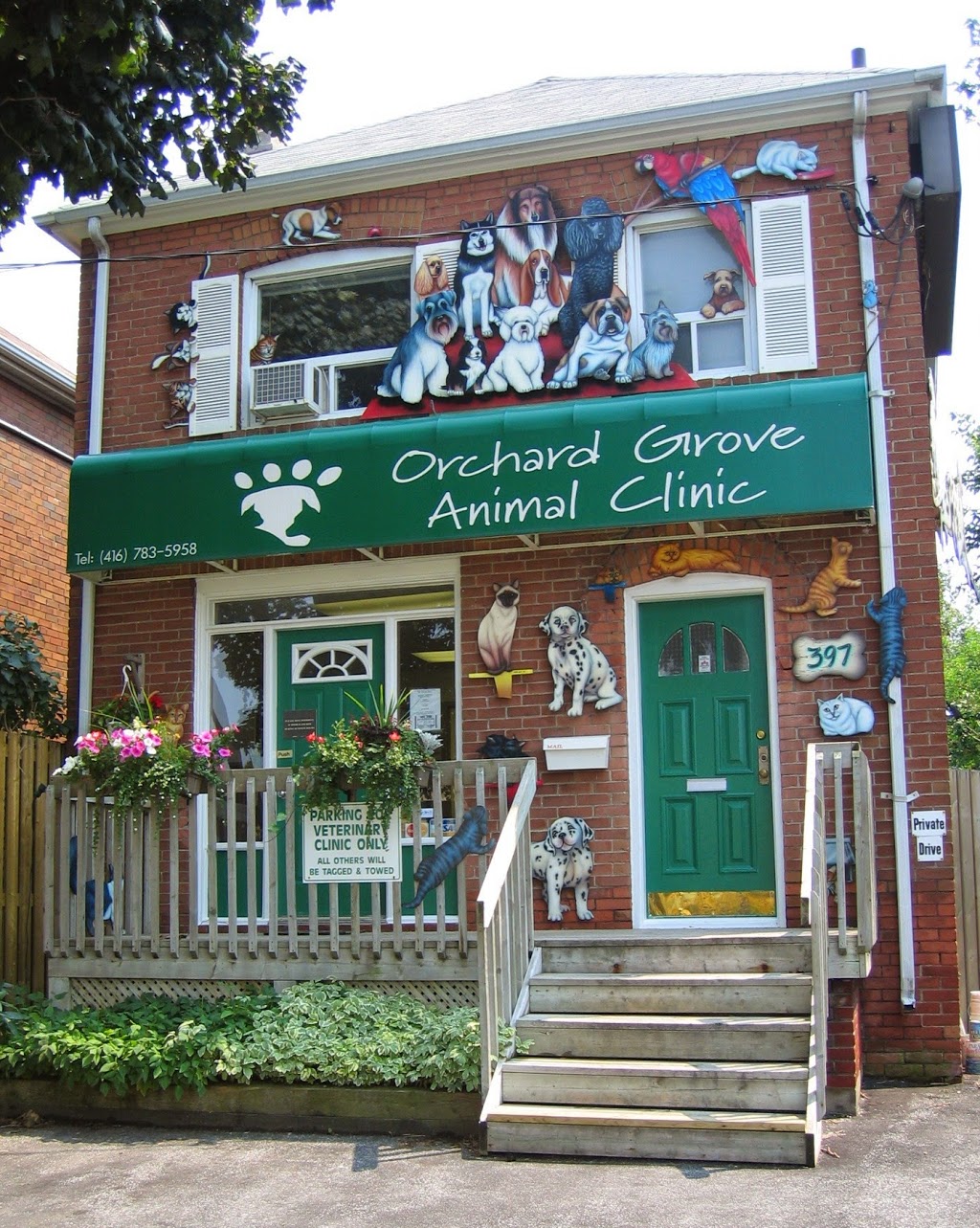 Orchard Grove Animal Clinic | 397 Old Orchard Grove, North York, ON M5M 2G1, Canada | Phone: (416) 783-5958