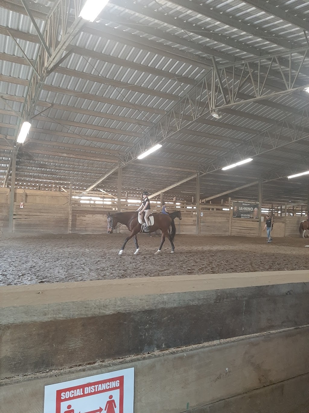 MJM EQUESTRIAN CENTRE | 6095 Dickenson Rd E, Hannon, ON L0R 1P0, Canada | Phone: (905) 679-1284