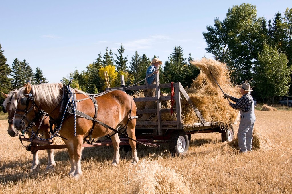 Stony Plain & Parkland Pioneer Museum | 5120 41 Ave, Stony Plain, AB T7Z 1L5, Canada | Phone: (780) 963-1234