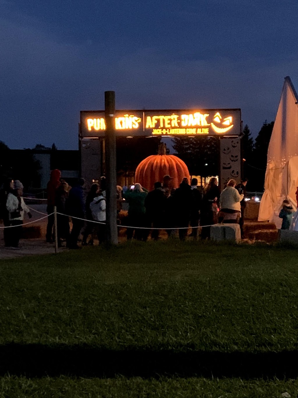 Pumpkins After Dark | 8560 Tremaine Rd, Milton, ON L9T 2X3, Canada | Phone: (365) 777-7867