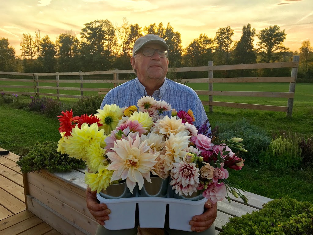 Gracemir Flower Farm | 8486 Guelph Line, Campbellville, ON L0P 1B0, Canada | Phone: (905) 592-1405