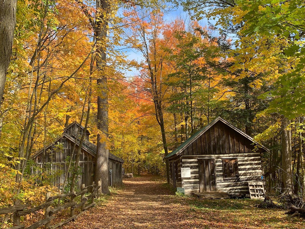 Sheppards Bush Conservation Area | Industry St, Aurora, ON L4G 7B3, Canada | Phone: (905) 895-1281