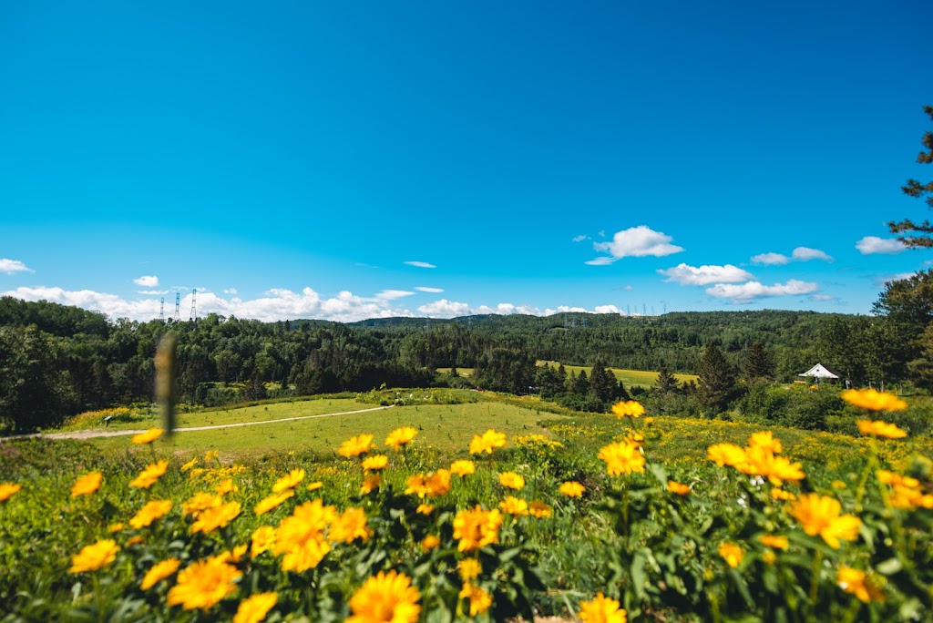 Ferme 5 Etoiles - Centre de vacances | 465 QC-172, Sacré-Coeur, QC G0T 1Y0, Canada | Phone: (418) 236-4551