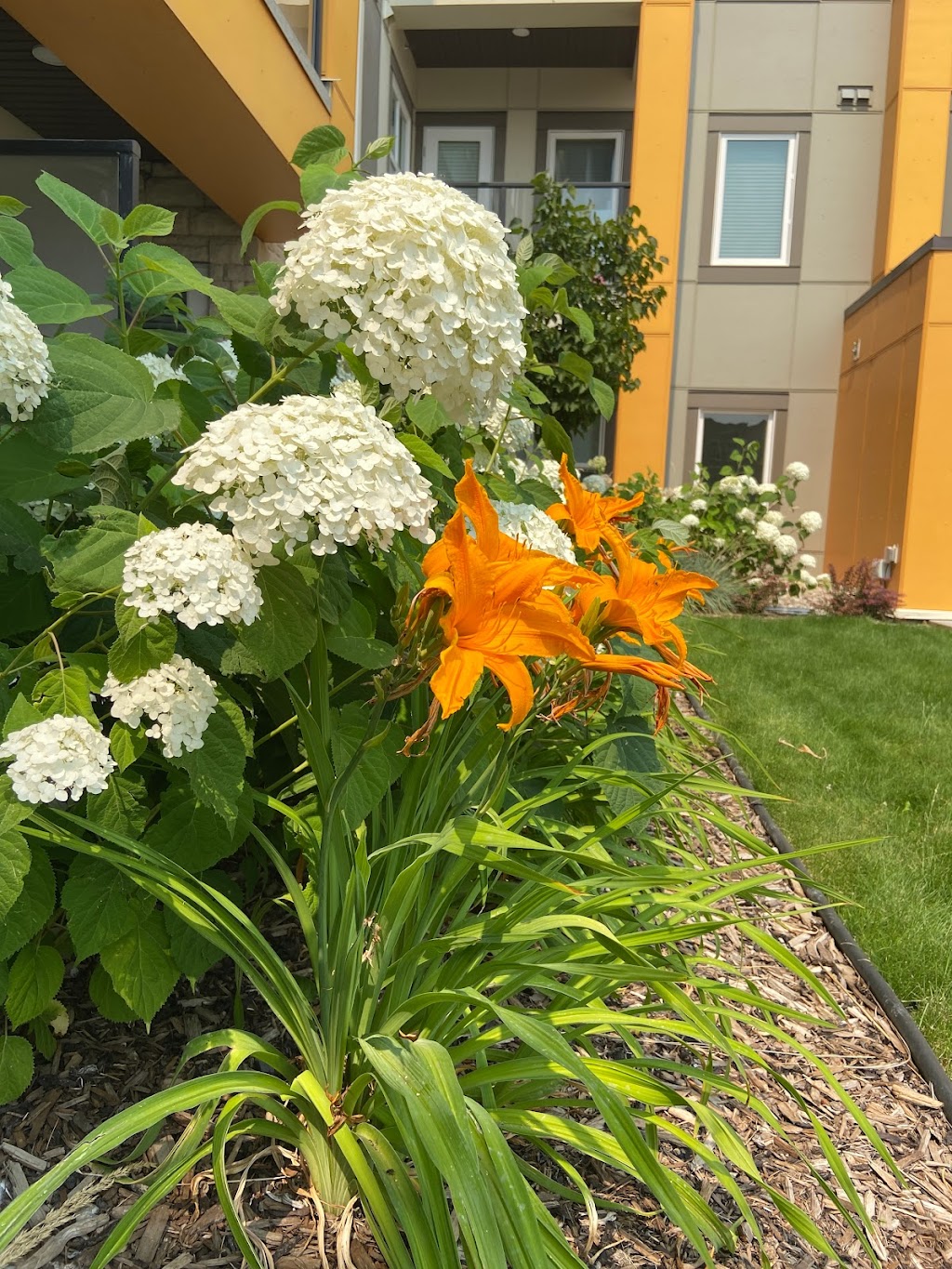 All Star Landscaping Services Ltd | 5366 55 St SE, Calgary, AB T2C 3G9, Canada | Phone: (587) 320-3284