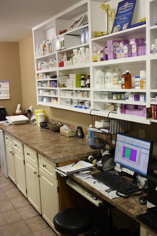 Airdrie Animal Clinic | 117 East Lake Crescent NE #101, Airdrie, AB T4A 2H6, Canada | Phone: (403) 948-3619