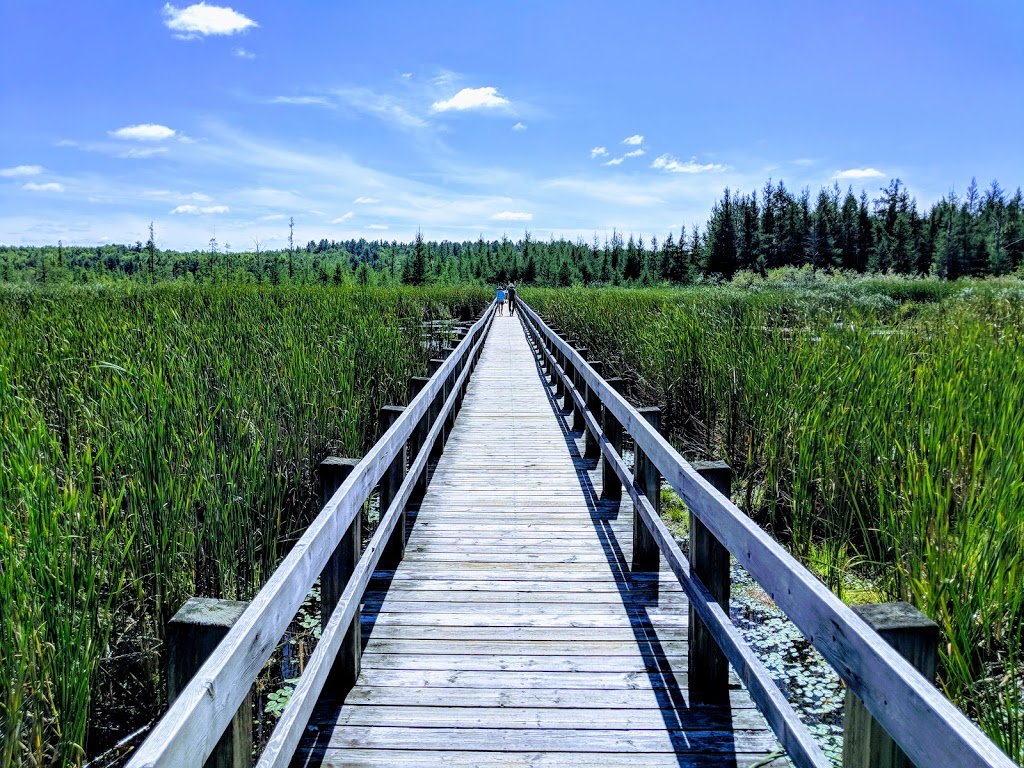 Mer Bleue Bog Trail | Ridge Rd, Ottawa, ON K0A 2Y0, Canada | Phone: (613) 239-5000