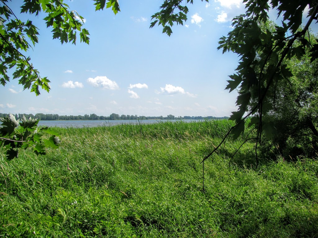 Parc Rochefort | Rue du Verdier, Repentigny, QC J5Y 3X1, Canada