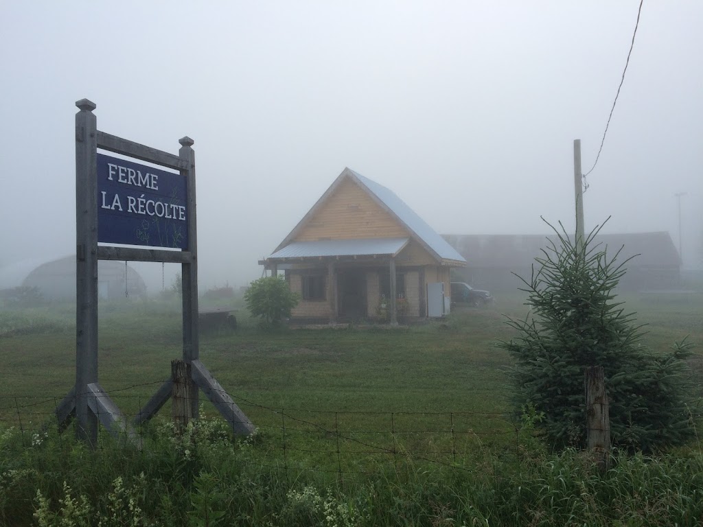 Ferme La Récolte | 630 Route 321 N, Saint-André-Avellin, QC J0V 1W0, Canada | Phone: (819) 983-1127