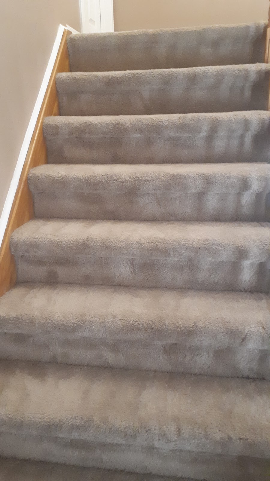 Excellent Carpet Cleaning | 1010 Cumming Blvd, Milton, ON L9T 6S5, Canada | Phone: (905) 462-1327