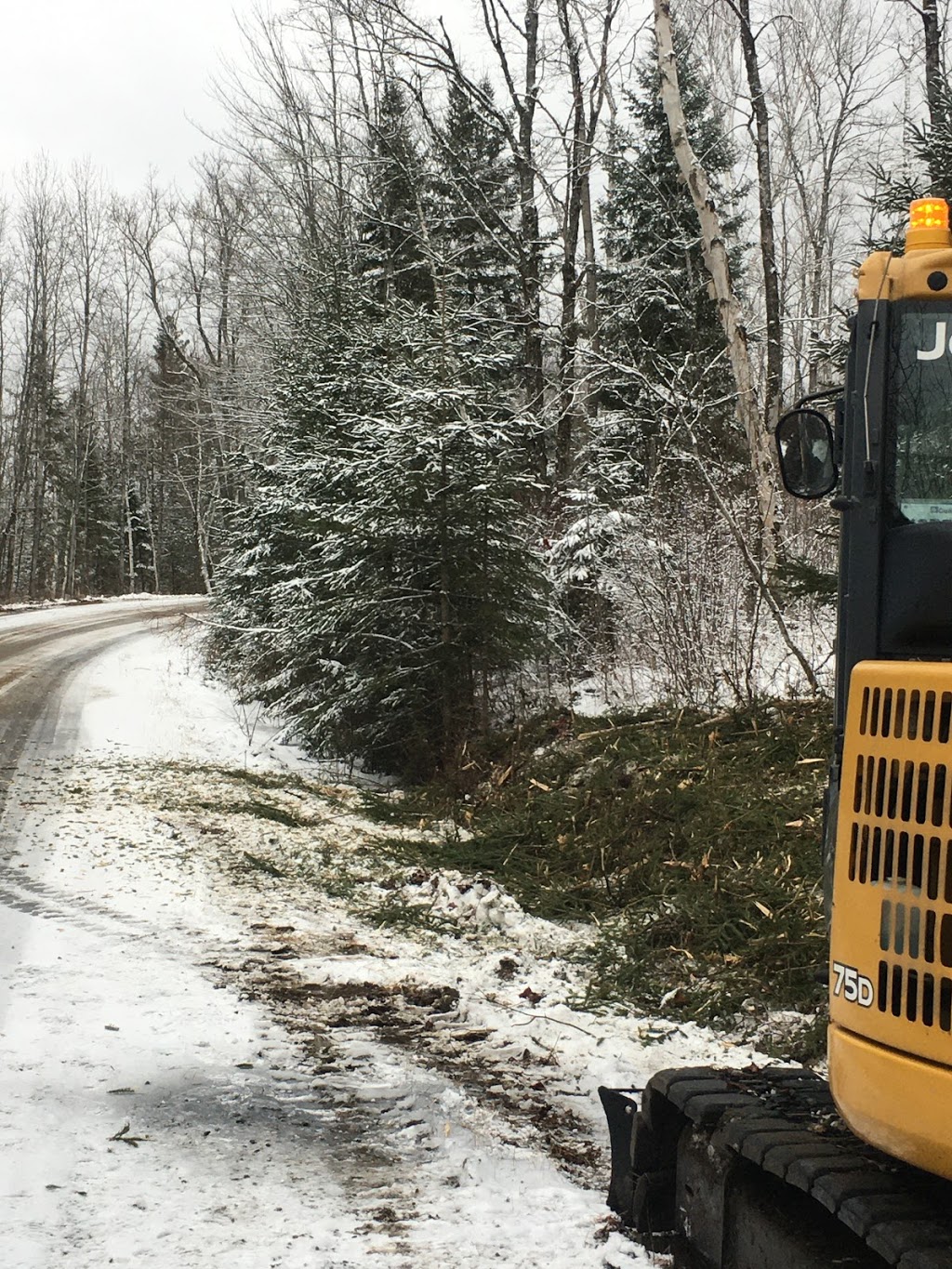 Débroussaillage - Transport Gilles Nault | 684 Route 105, Bois-Franc, QC J9E 3A9, Canada | Phone: (819) 660-1588