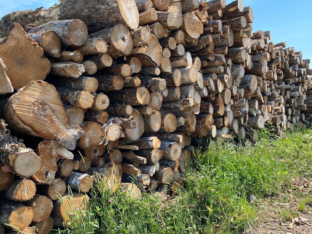 Moncton, Boyle Farm- Firewood Sales | 3528 NB-126 Unit 2, Lutes Mountain, NB E1G 2Y6, Canada | Phone: (506) 875-5450