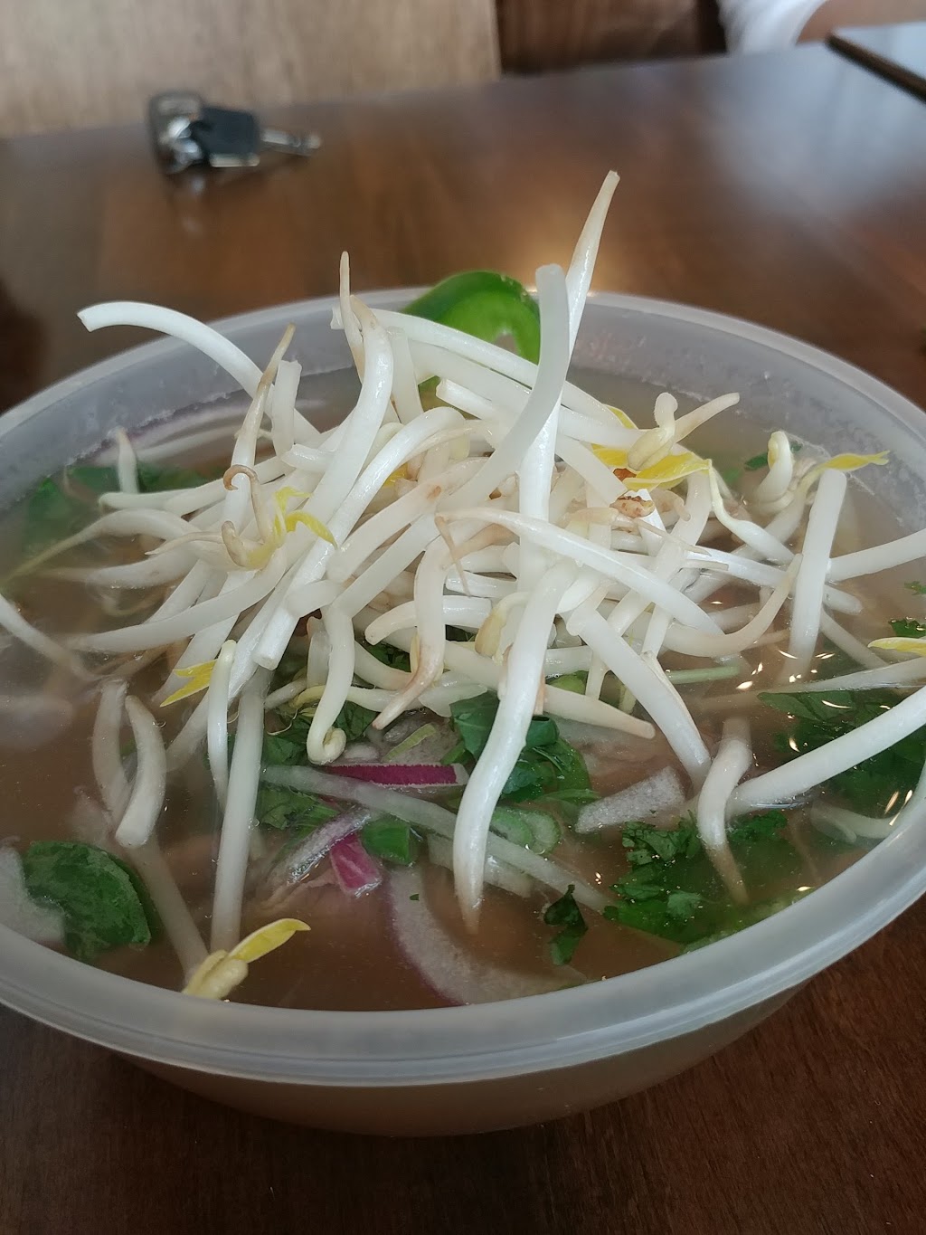 Pho Vrolls Vietnamese & Thai Food | 1490 Major MacKenzie Dr W, Maple, ON L6A 4H6, Canada | Phone: (905) 417-8868