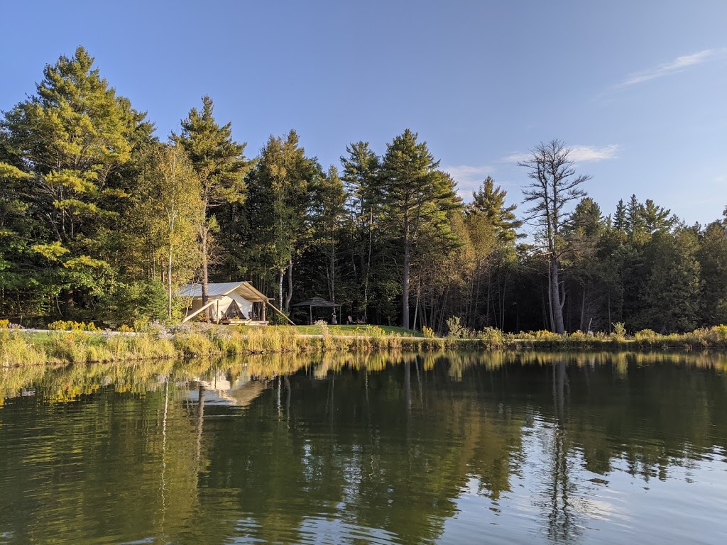 Whispering Springs Wilderness Retreat | 141 Mercer Ln, Grafton, ON K0K 2G0, Canada | Phone: (905) 349-1009