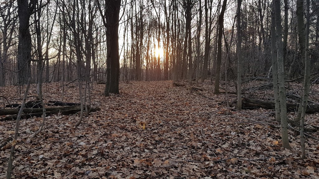 Christie Wildlife Area | White-Tailed Deer Trail, Dundas, ON L9H 5E2, Canada