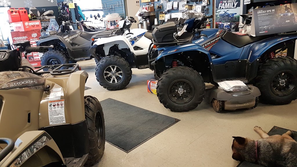 Blue Sky Marine | 114 Arnold St, New Hamburg, ON N3A 2C7, Canada | Phone: (519) 662-1461