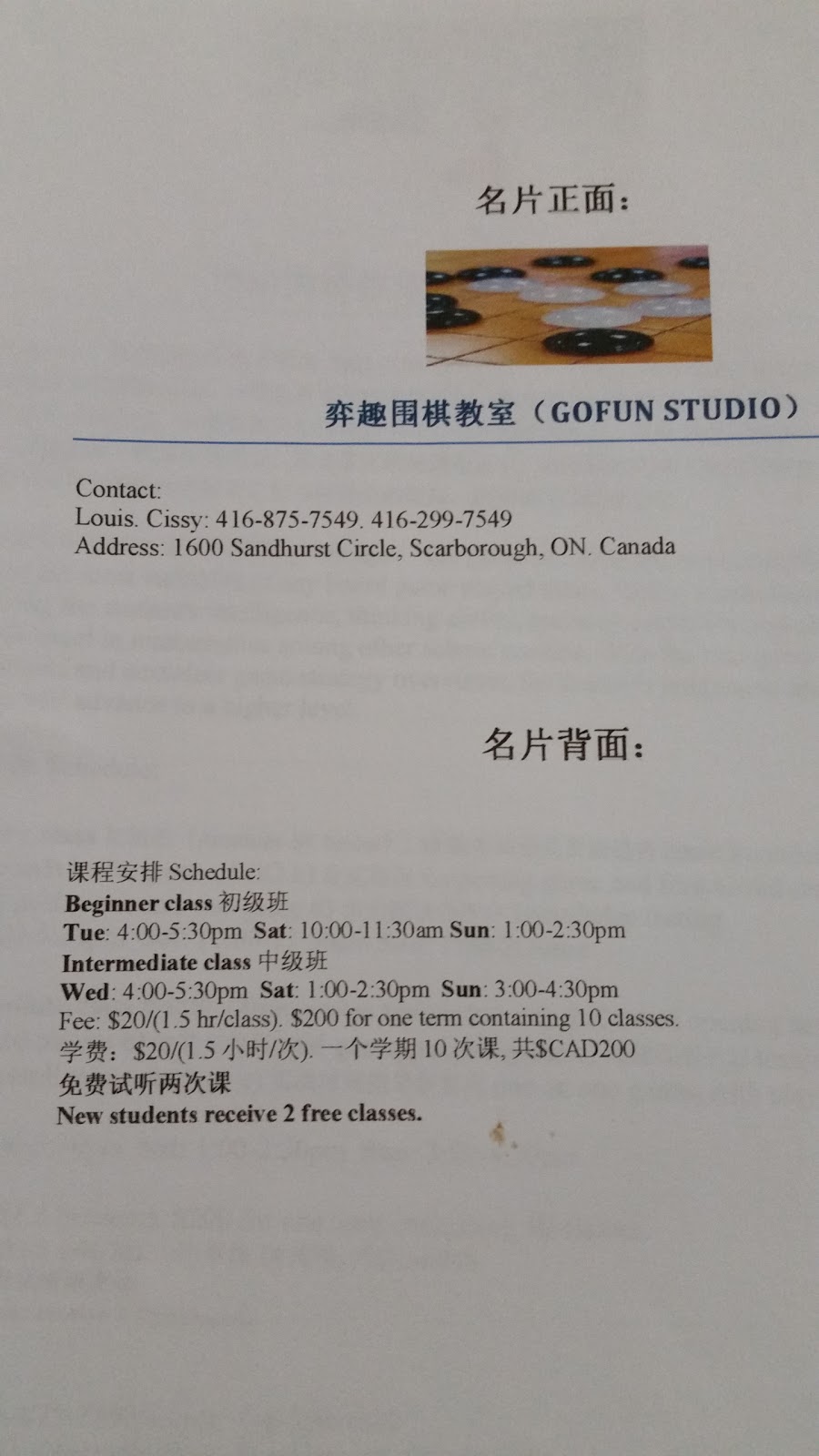 弈趣围棋 HWY 404教室 | 511 McNicoll Ave #203, North York, ON M2H 2C9, Canada | Phone: (416) 875-7549