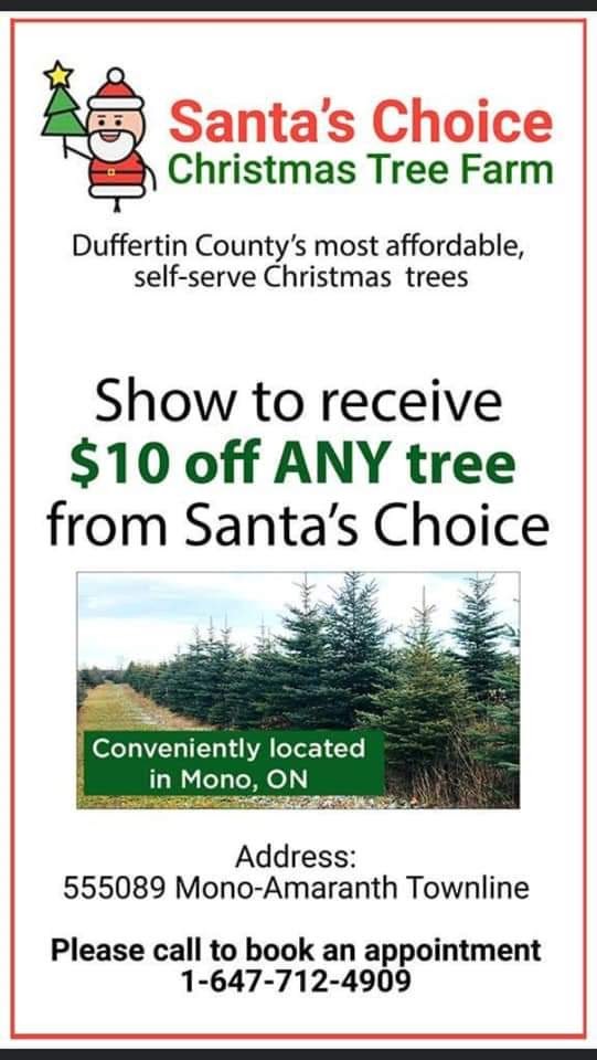 Santas Choice Christmas Tree Farm | 555089 Mono Amaranth Townline, Orangeville, ON L9W 2Z1, Canada | Phone: (647) 712-4909