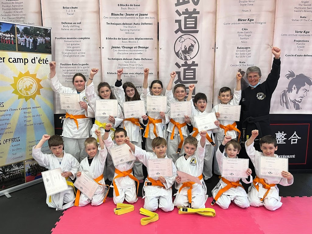 Dojos Martial Arts St-Henri | 75 Rte Campagna, Saint-Henri, QC G0R 3E0, Canada | Phone: (581) 922-1299