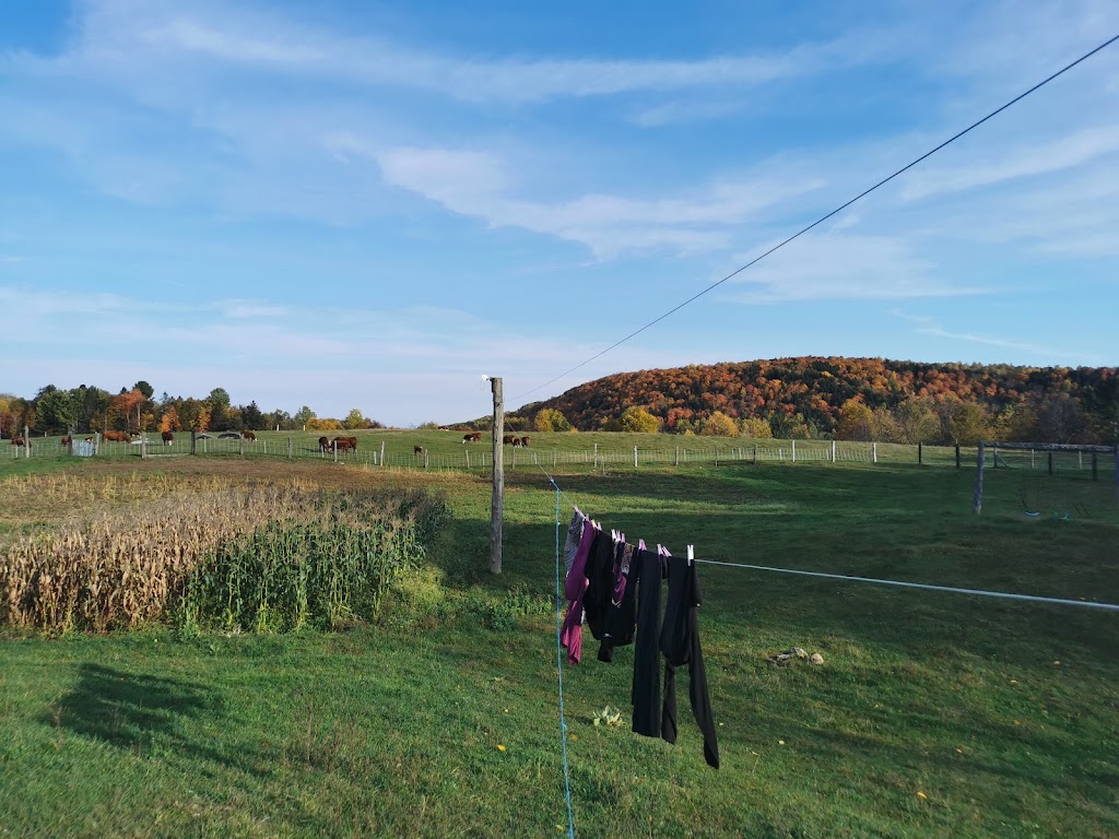 Ferme fée et fougère | 377, route 321 Nord, Ripon, QC J0V 1V0, Canada | Phone: (819) 428-1499