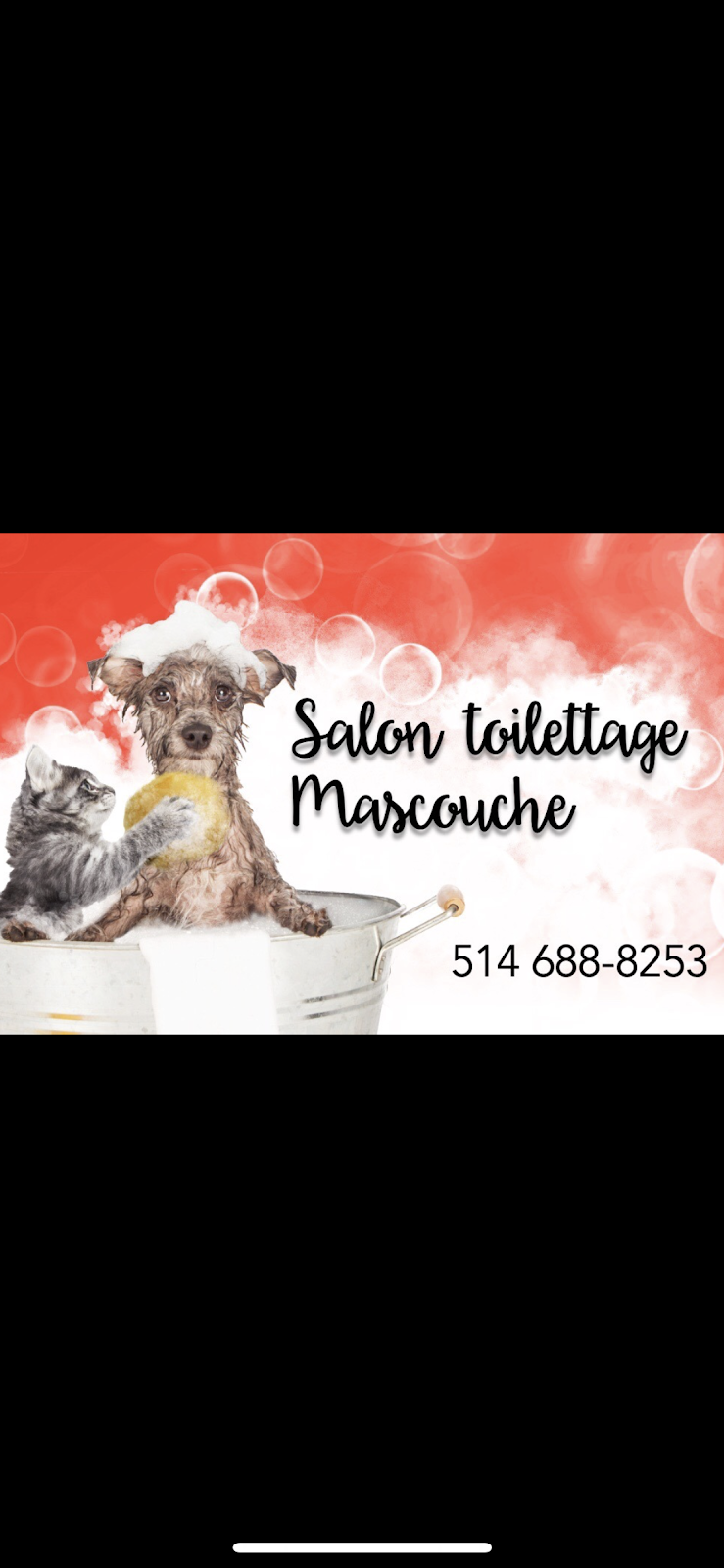 Salon toilettage mascouche | 2741 Chemin Ste Marie, Mascouche, QC J7K 1N2, Canada | Phone: (514) 688-8253
