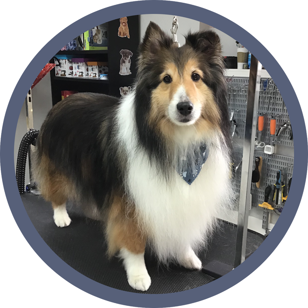 Bark N Beauties Dog Grooming Salon | 35661 Maguire Rd, Ailsa Craig, ON N0M 1A0, Canada | Phone: (519) 228-6861