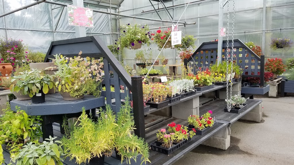 Mastersons Garden Center, Inc. | 725 Olean Rd #9781, East Aurora, NY 14052, USA | Phone: (716) 655-0133