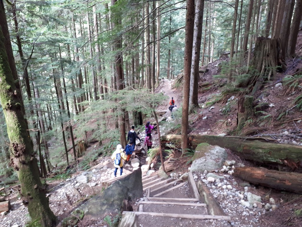 Cedar Mills Trail | Cedar Mills Trail, North Vancouver, BC V7K 3B2, Canada