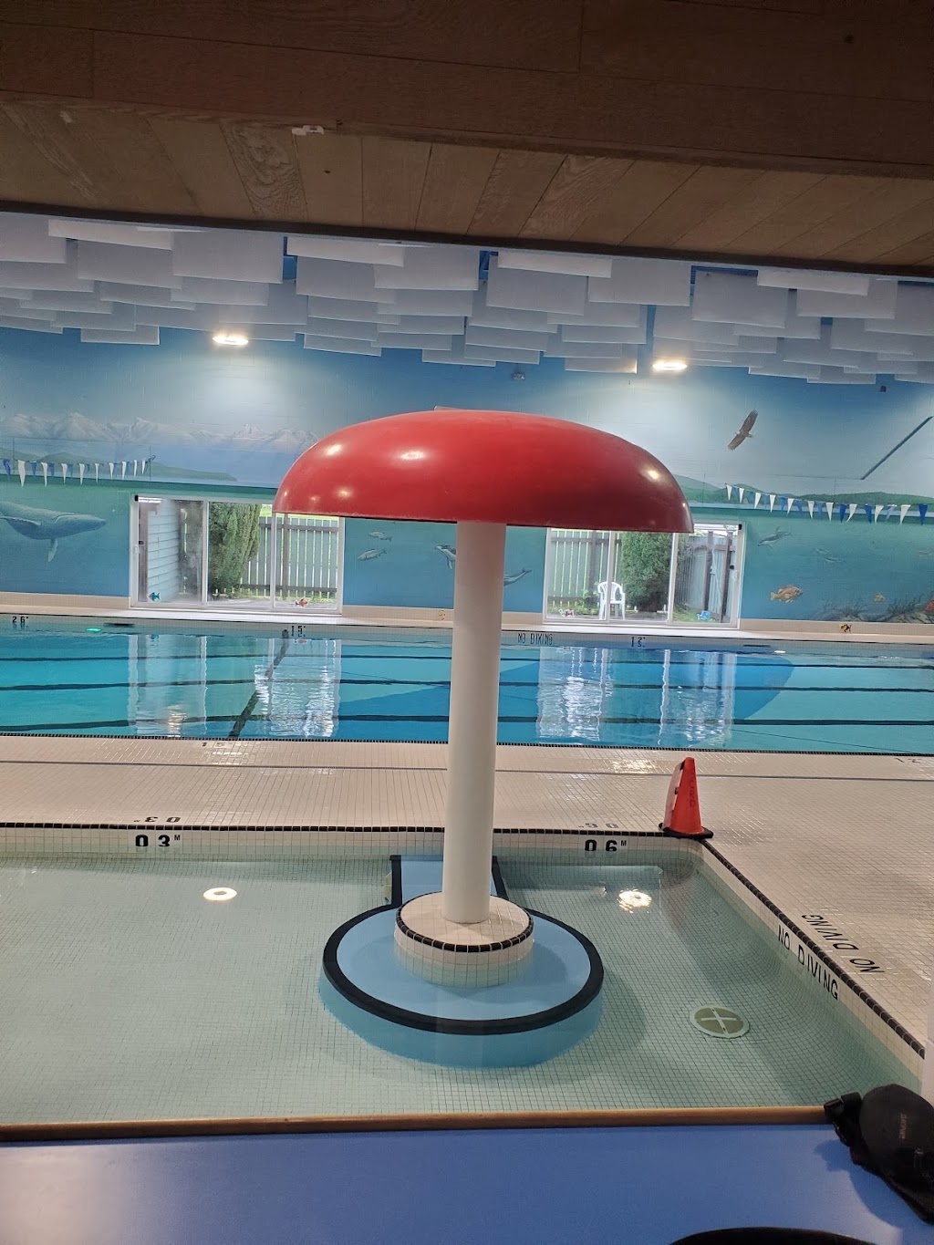 Gibsons Swimming Pool | 953 Gibsons Way, Gibsons, BC V0N 1V0, Canada | Phone: (604) 886-9415