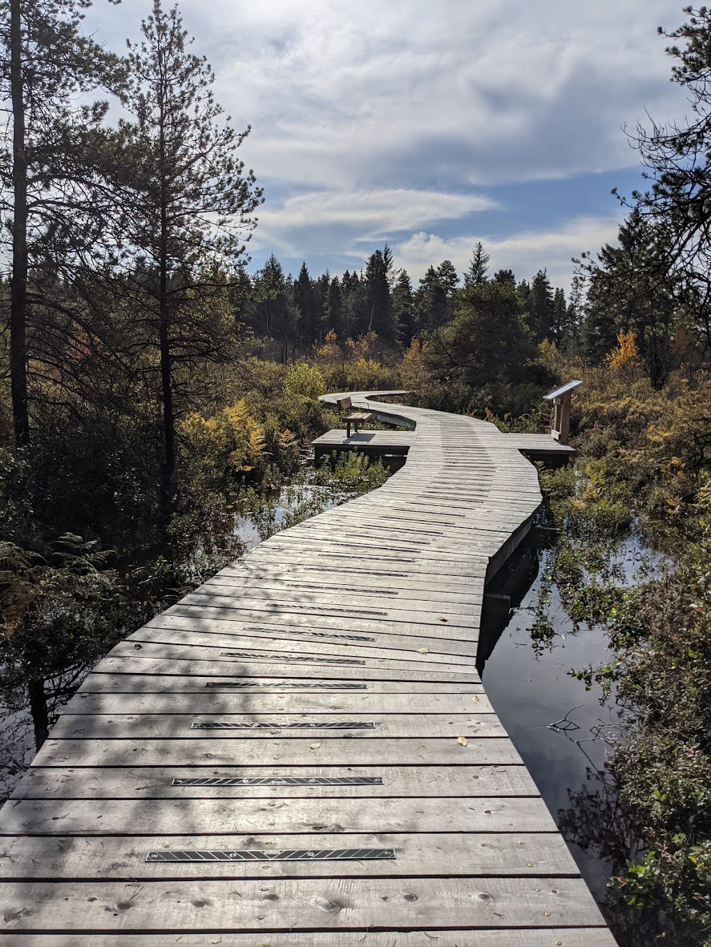 Burns Bog Delta Nature Reserve | 10388 Nordel Ct, Delta, BC V4G 1J9, Canada | Phone: (604) 520-6442