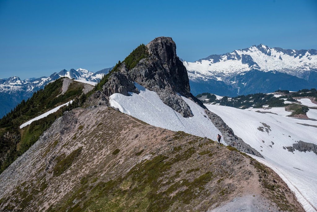 Cat Lake Recreation Site | Cheekye Forest Service Rd, Squamish, BC V8B 0P6, Canada